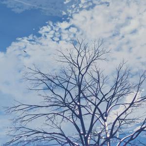 久久久无码精品亚洲日韩啪啪网站
