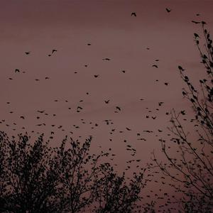 久久久无码精品亚洲日韩啪啪网站
